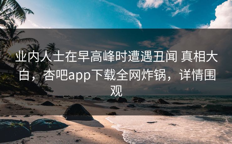 业内人士在早高峰时遭遇丑闻 真相大白，杏吧app下载全网炸锅，详情围观