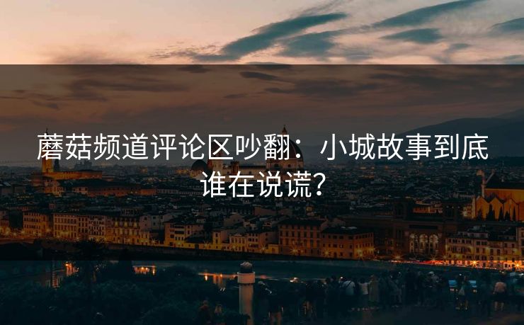 蘑菇频道评论区吵翻：小城故事到底谁在说谎？