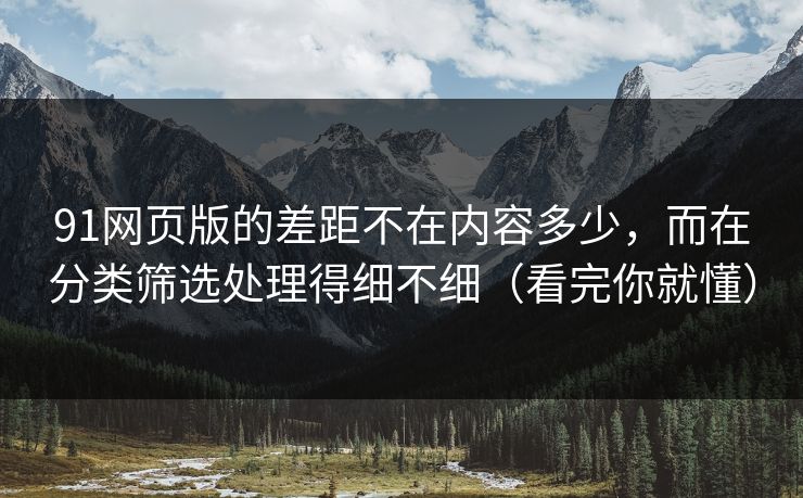 91网页版的差距不在内容多少,而在分类筛选处理得细不细(看完你就懂)